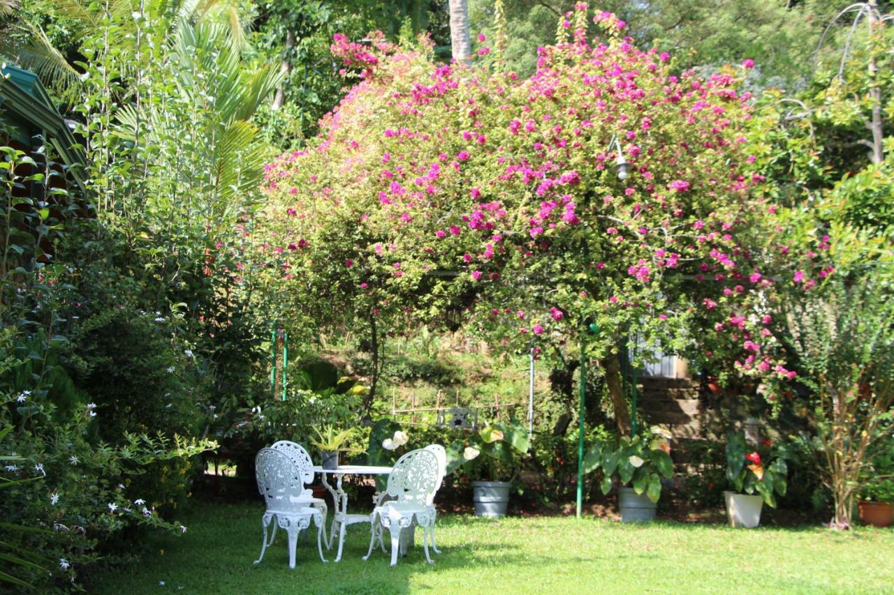 Sithara Estate Bungalow Ella Eksteriør billede